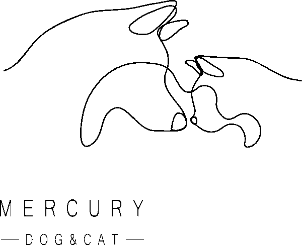 東麻布の自然派トリミングサロン　mercury dog & cat